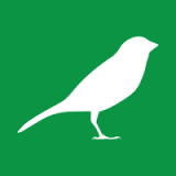 canary_green_FB