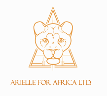 Screen Shot 2020-02-10 at 8.12.08 PM